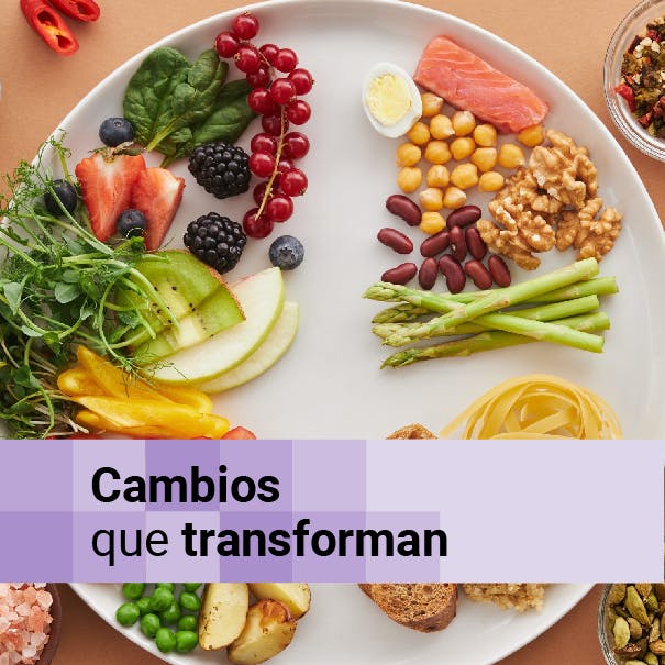 Gestión del bienestar laboral, Sala Cuna Universal y el impacto en el estilo de alimentación