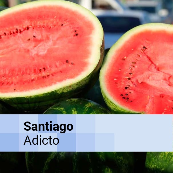 El Festival de la Sandía de Paine y el Mercado Bajo las Torres