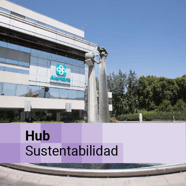 Diez años de transformación: cómo Clínica Alemana redujo casi a la mitad su huella de carbono