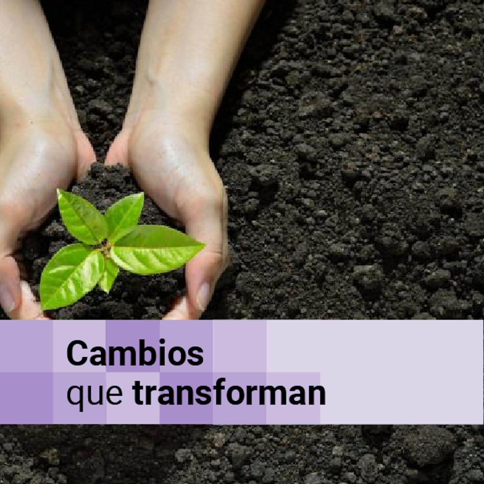 Remediación ambiental y el rol del retail en Chile