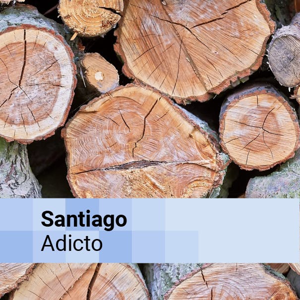 Selección Selección Duna 2025: Pablo Altikes, arquitecto. Especial madera, parte 3