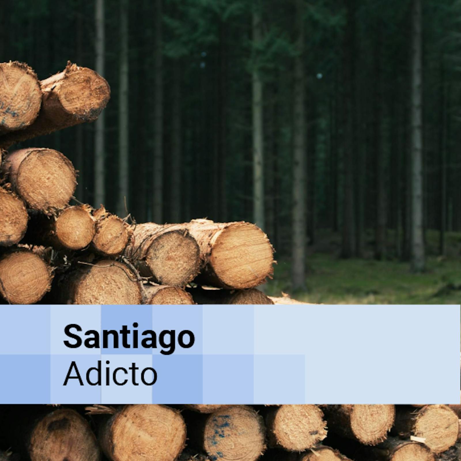 Selección DUNA 2025: Pablo Altikes, arquitecto. Especial Madera parte 2