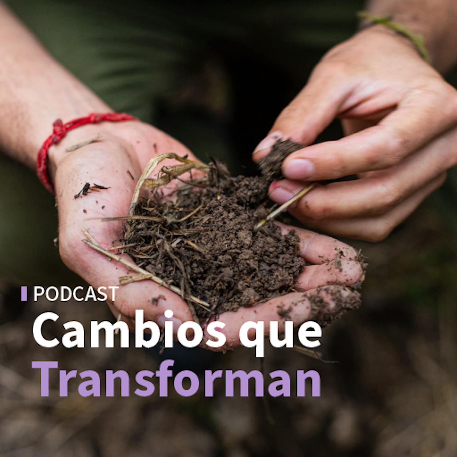 Las novedades para la regeneración de suelo y los resultados de la ley I + D Las novedades para la regeneración de suelo y los resultados de la ley I + D