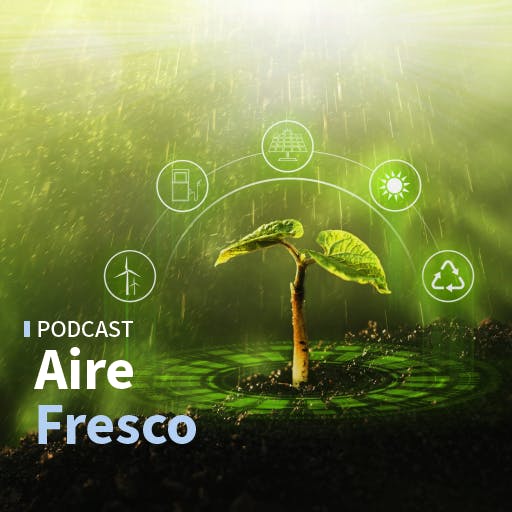 Las polémicas culturales verano 2026 y la contradicción entre el desarrollo económico y el cuidado de la naturaleza