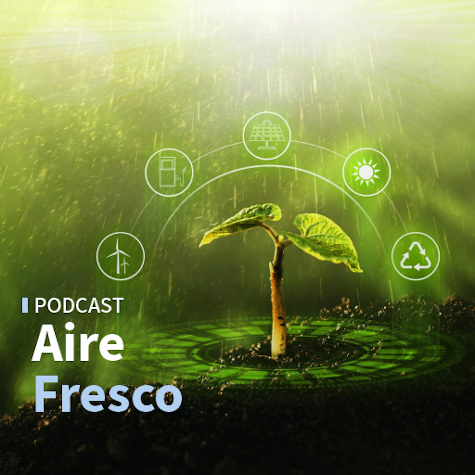 Las polémicas culturales verano 2026 y la contradicción entre el desarrollo económico y el cuidado de la naturaleza Las polémicas culturales verano 2026 y la contradicción entre el desarrollo económico y el cuidado de la naturaleza