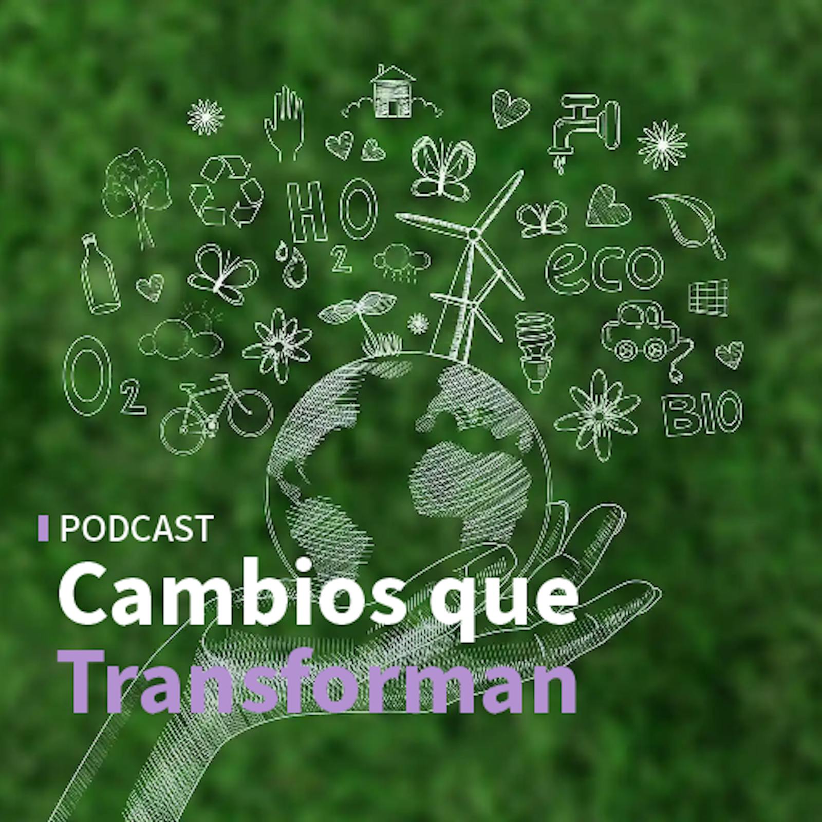 Sostenibilidad: Las iniciativas de Casaideas en esta materia y la importancia de esta como factor de competitividad