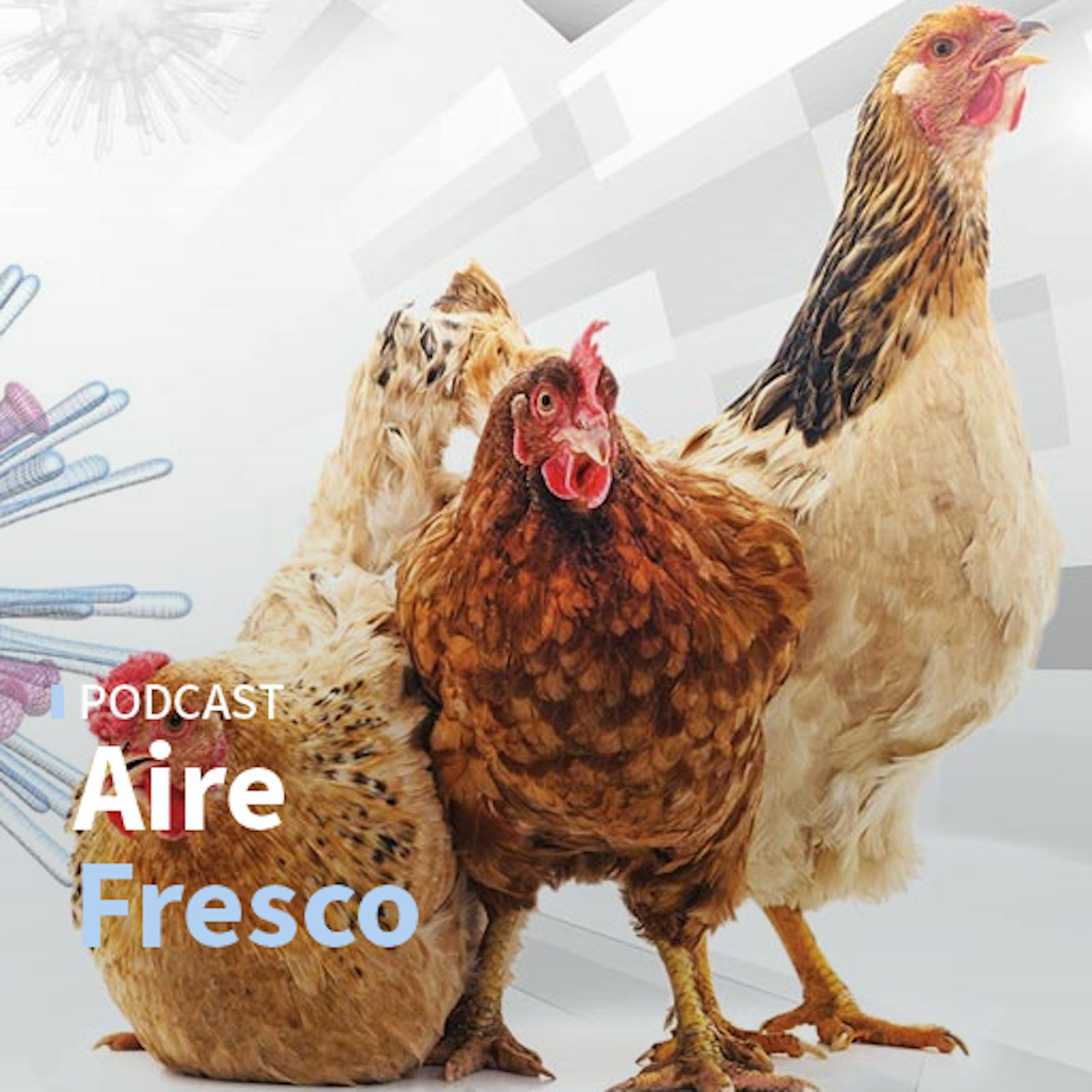 La exposición Tracey Emin y el avance en las vacunas contra la influenza