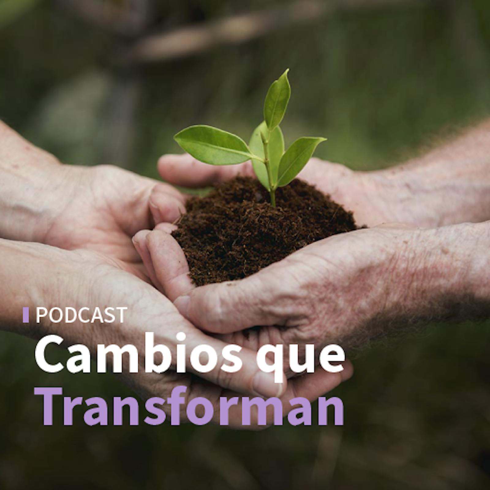 La transformación de las empresas combinando sostenibilidad, datos e inteligencia artificial y  cómo la energía impulsa el crecimiento sostenible