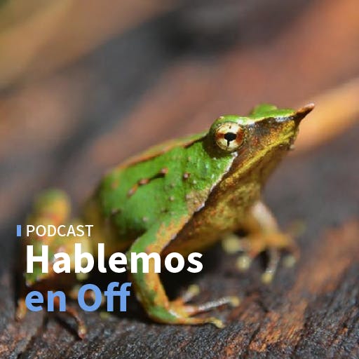El ministerio de Medio Ambiente y el retiro de los 43 decretos