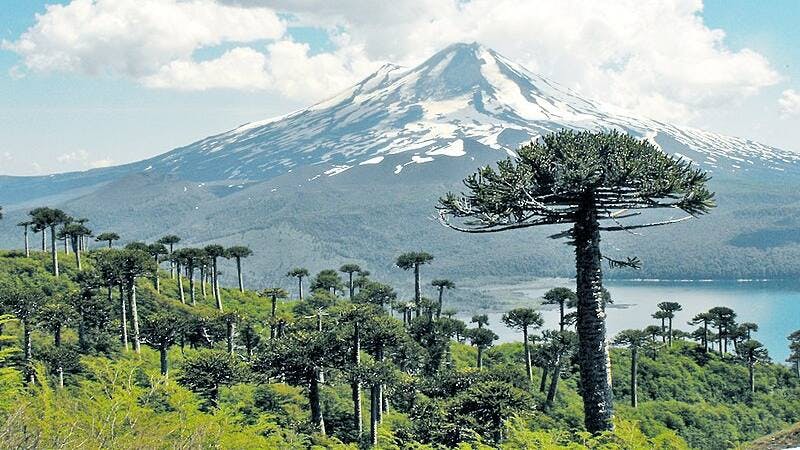 Patricia Morales: “Debe haber mayor entendimiento de lo que es realmente la triple crisis y cuáles son las consecuencias en todas las carteras”