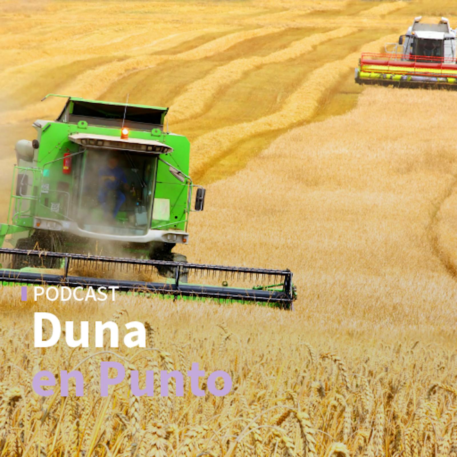 Los efectos del aumento del petróleo en la agricultura, el plan de reconstrucción nacional de Kast y la decisión de instalar detectores de metales en colegios Los efectos del aumento del petróleo en la agricultura, el plan de reconstrucción nacional de Kast y la decisión de instalar detectores de metales en colegios