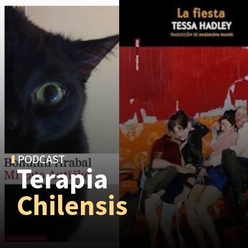 Las novelas Mi gato Autíčko de Bohumil Hrabal y La fiesta de Tessa Hadley, y la serie Love Story.