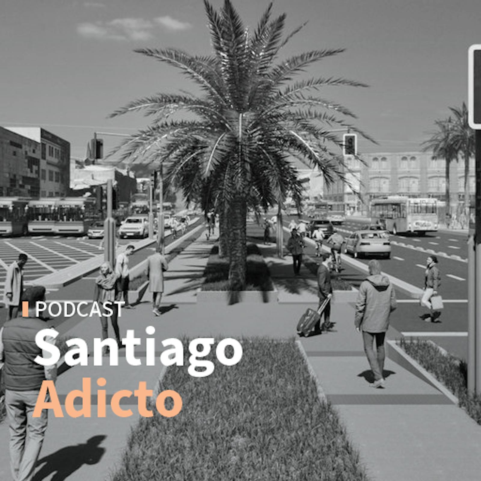 Alcaldes Felipe Muñoz y Maximiliano Ríos sobre la suspensión del proyecto Ciclovía Nueva Alameda episode artwork