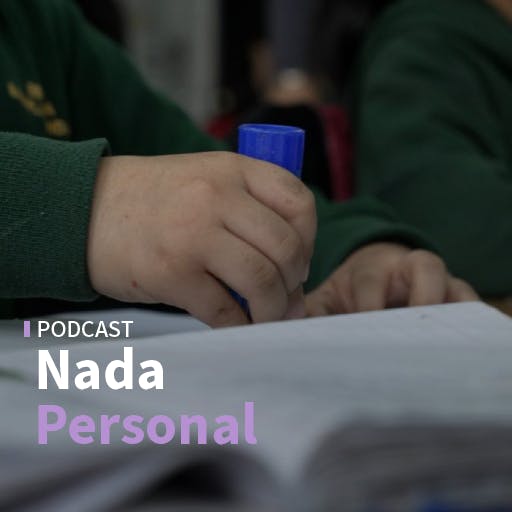 Proyecto de Ley Escuelas Protegidas avanza al Senado y el ingreso de la megarreforma al Congreso
