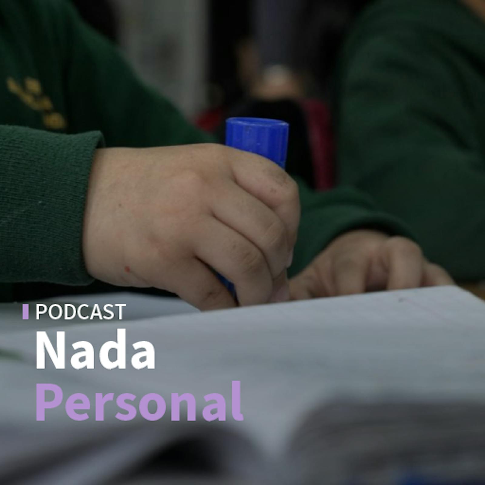 Proyecto de Ley Escuelas Protegidas avanza al Senado y el ingreso de la megarreforma al Congreso episode artwork