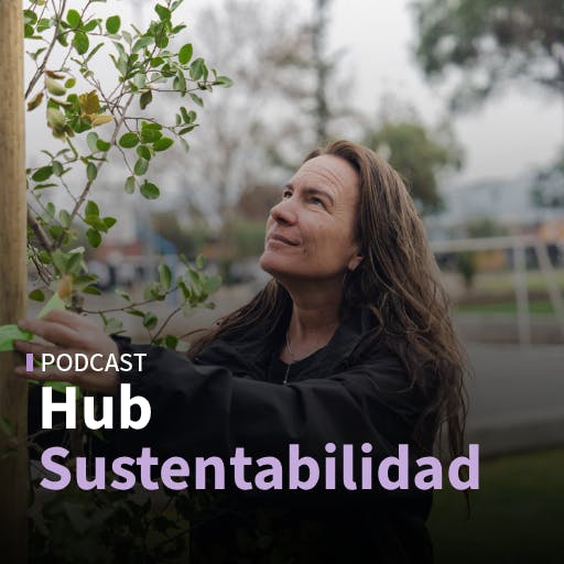 Suzanne Wylie de Fundación Reforestemos: “Aún tenemos 14 millones de hectáreas de bosque nativo: es un lujo que hay que cuidar”