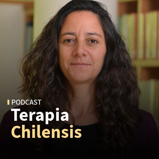 Alejandra Abufhele: "No es tanto las mujeres que no tienen hijos, sino que se reduce el número de hijos y los están teninedo más tarde (...) Es un fenómeno global"
