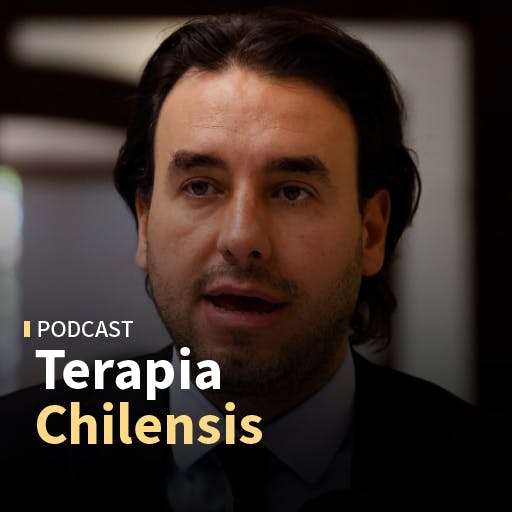 Vlado Mirosevic: "Si el Gobierno toma la receta de Milei veo muy difícil que logre construir mayorías sociales y en el Congreso"