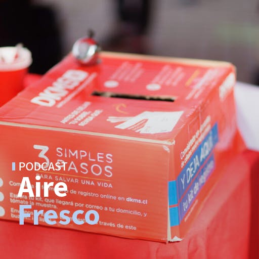 La exposición Trifulca: objetos penitentes, y la Fundación DKMS sobre el trasplante de médula