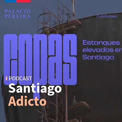 Jessica Briceño y la muestra “COPAS: Estanques elevados en Santiago”