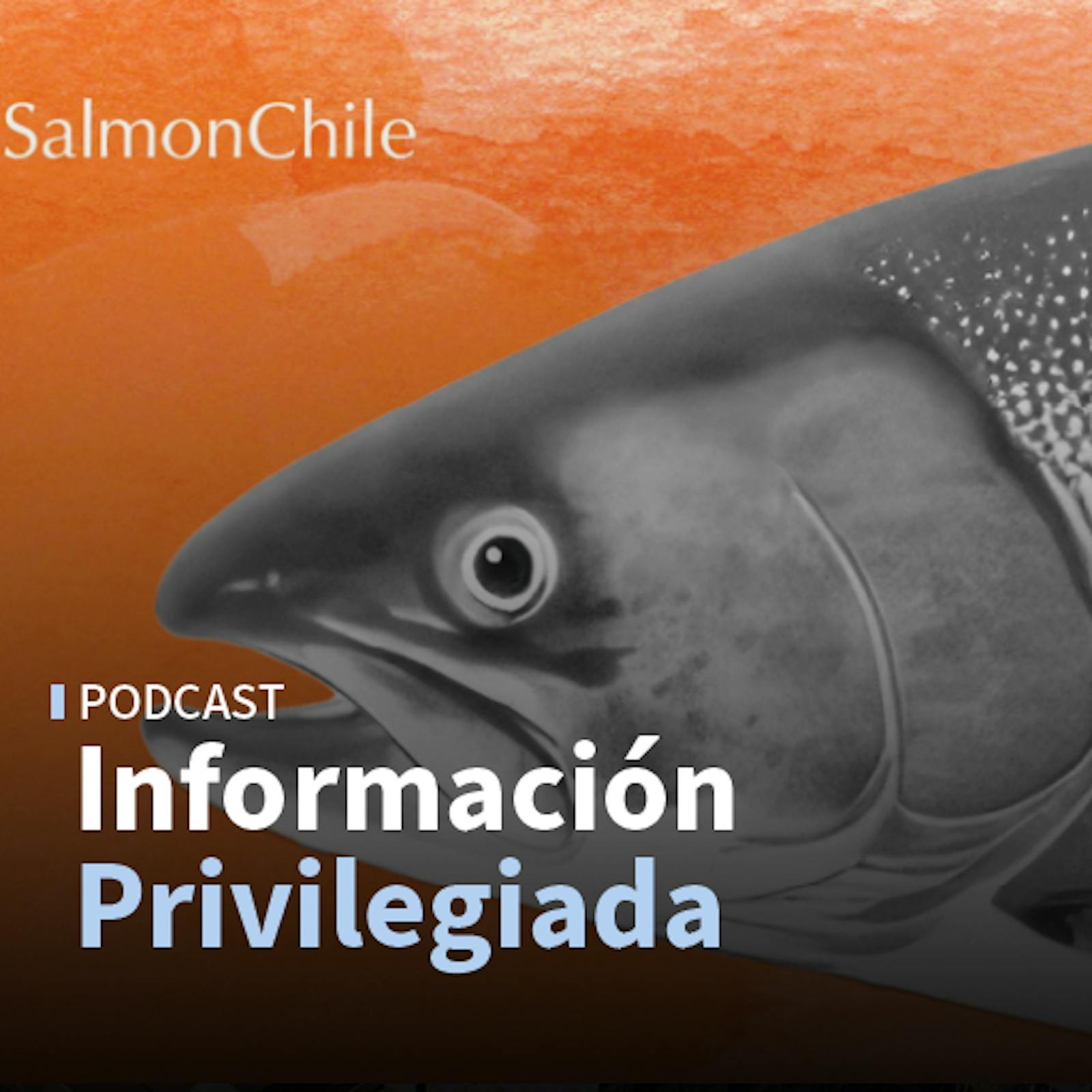 Miércoles de commodities y Salmón Summit