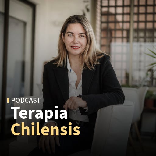 Lucía Dammert: "En Chile prácticamente solo resolvemos delitos con personas detenidas en flagrancia (...) Si seguimos en eso, la gente va a seguir teniendo la sensación de impunidad"