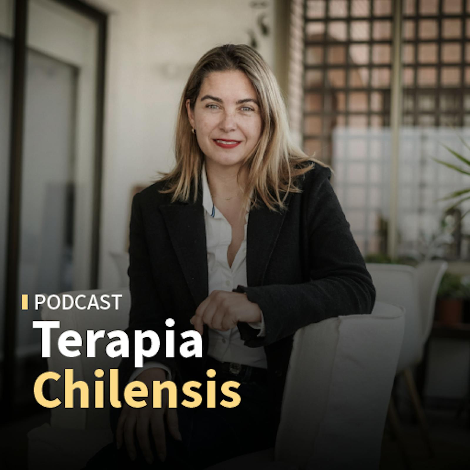 Lucía Dammert: "En Chile prácticamente solo resolvemos delitos con personas detenidas en flagrancia (...) Si seguimos en eso, la gente va a seguir teniendo la sensación de impunidad" episode artwork