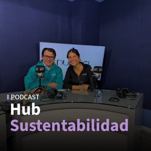 De las exigencias ESG globales al apoyo en terreno tras los incendios: cómo la sostenibilidad corporativa actúa entre reportes y cambios concretas
