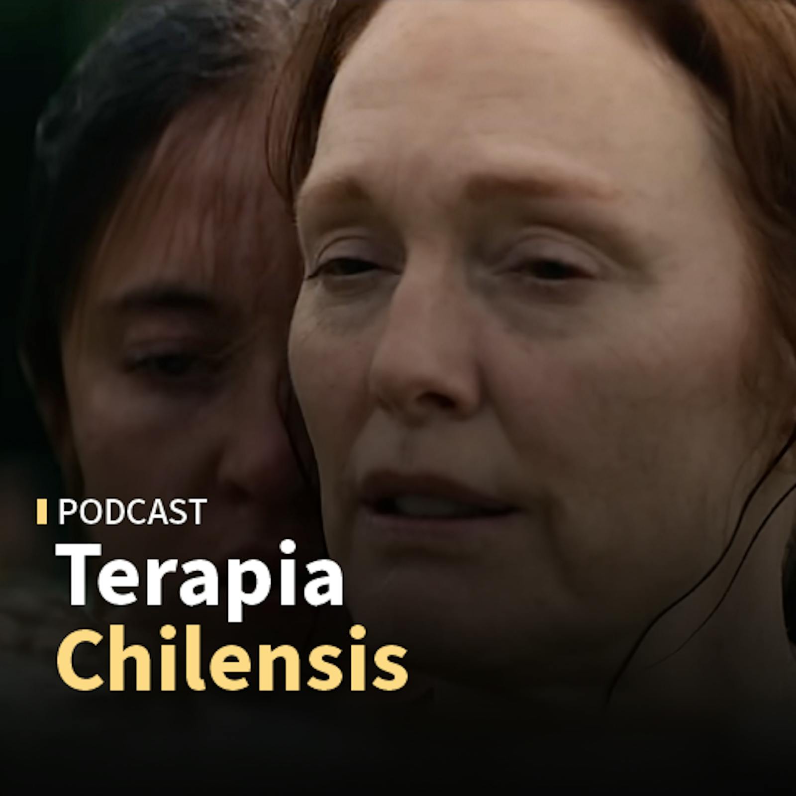 Historias de fantasmas de Siri Hustvedt; Dolor exquisito de Sophie Calle; La Grazia de Paolo Sorrentino y Echo Valley con Julianne Moore y Sydney Sweeney
