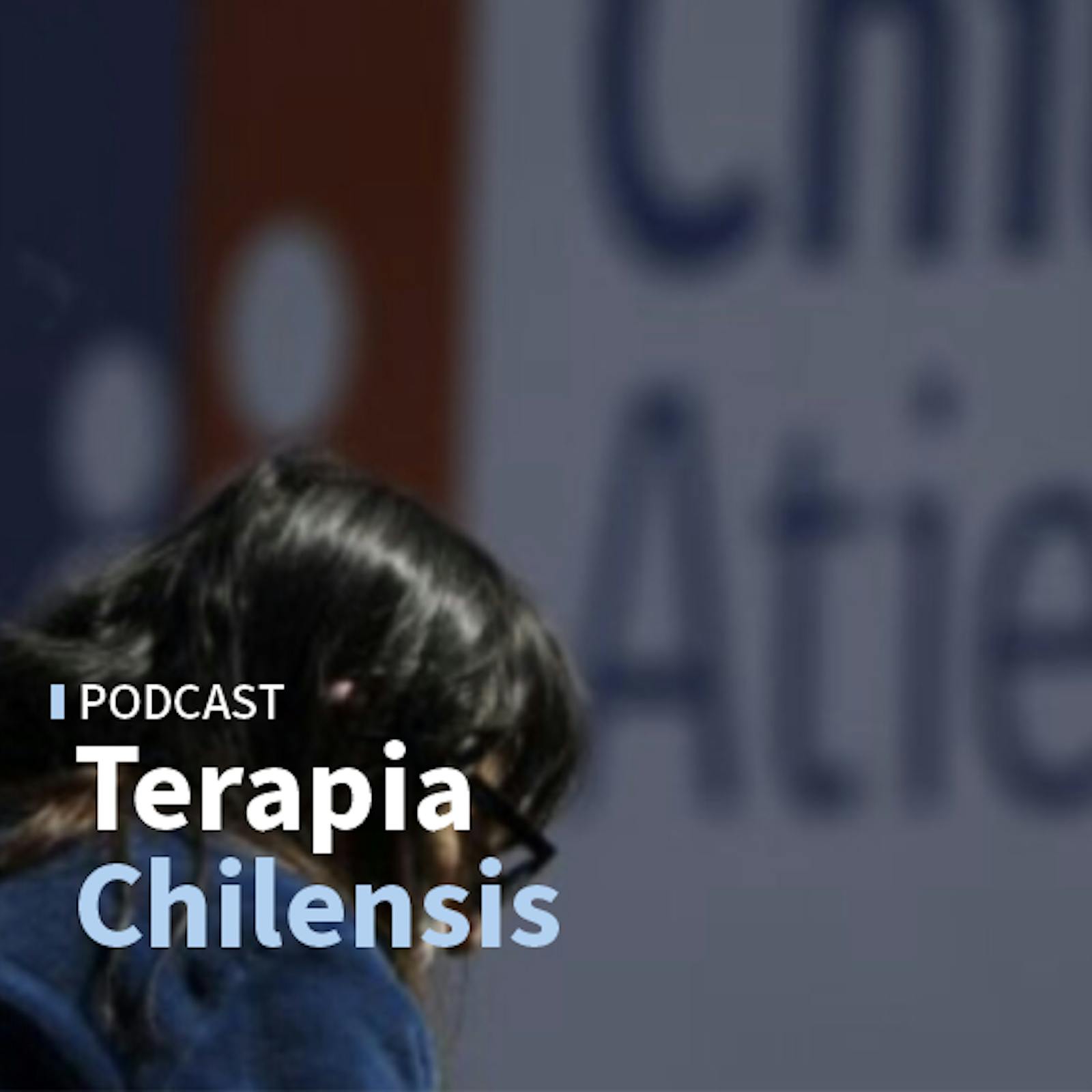 Ignacio Irarrázaval: “La modernización del empleo público ha sido una piedra en el zapato que se arrastra hace bastante tiempo"