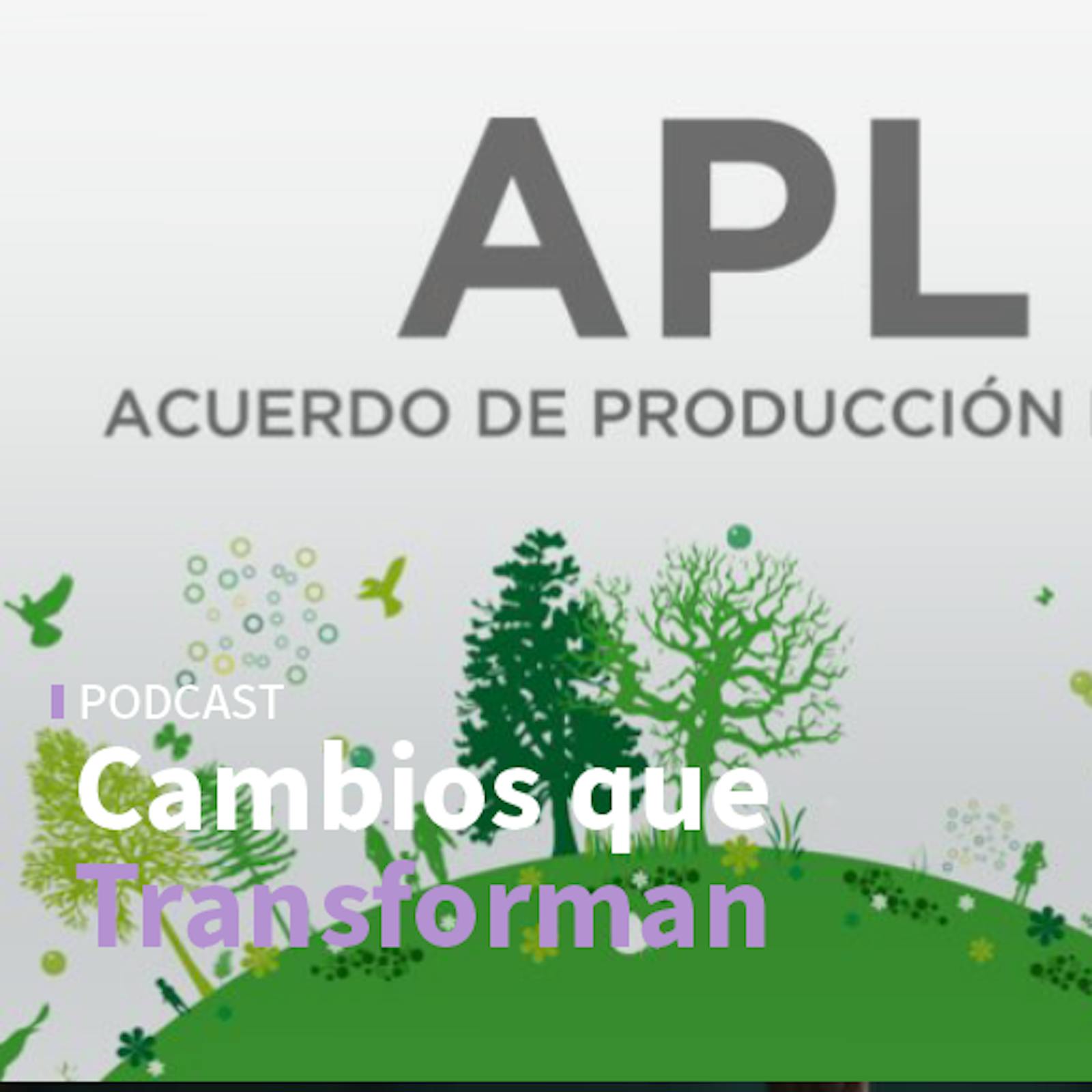 Innovación en seguridad industrial y los Acuerdos de Producción Limpia  episode artwork