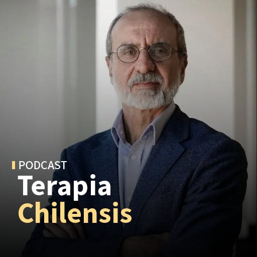 Patricio Arrau: "Es muy altamente probable que las proyecciones del megaproyecto se cumplen y creo que aprobado, el próximo año creceremos al 3%"
