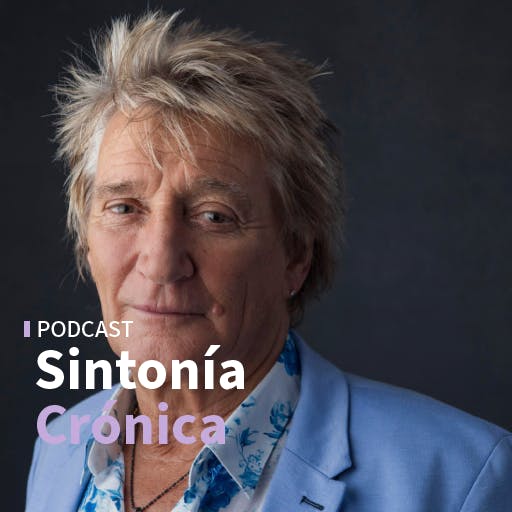 T-Rex, Rod Stewart, The Four Seasons y Cliff Richard 