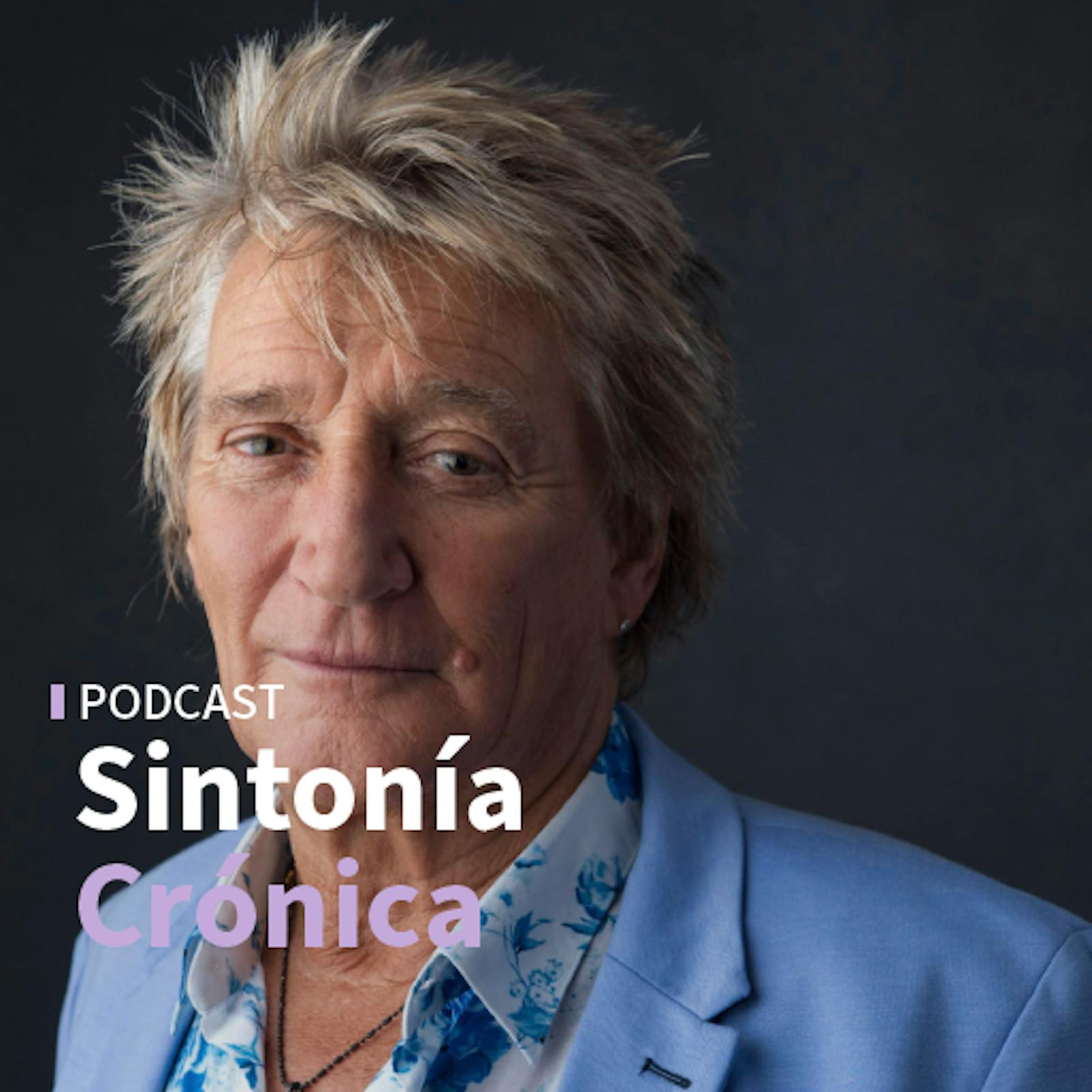 T-Rex, Rod Stewart, The Four Seasons y Cliff Richard
