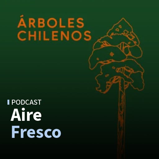  La historia de Feltrinelli Editores y el nuevo libro Árboles chilenos
