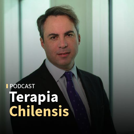 Rodrigo Delaveau: "El TC es un tribunal de derecho, se falla en derecho, pero los efectos de las sentencias son políticos"