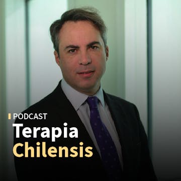 Rodrigo Delaveau: "El TC es un tribunal de derecho, se falla en derecho, pero los efectos de las sentencias son políticos"