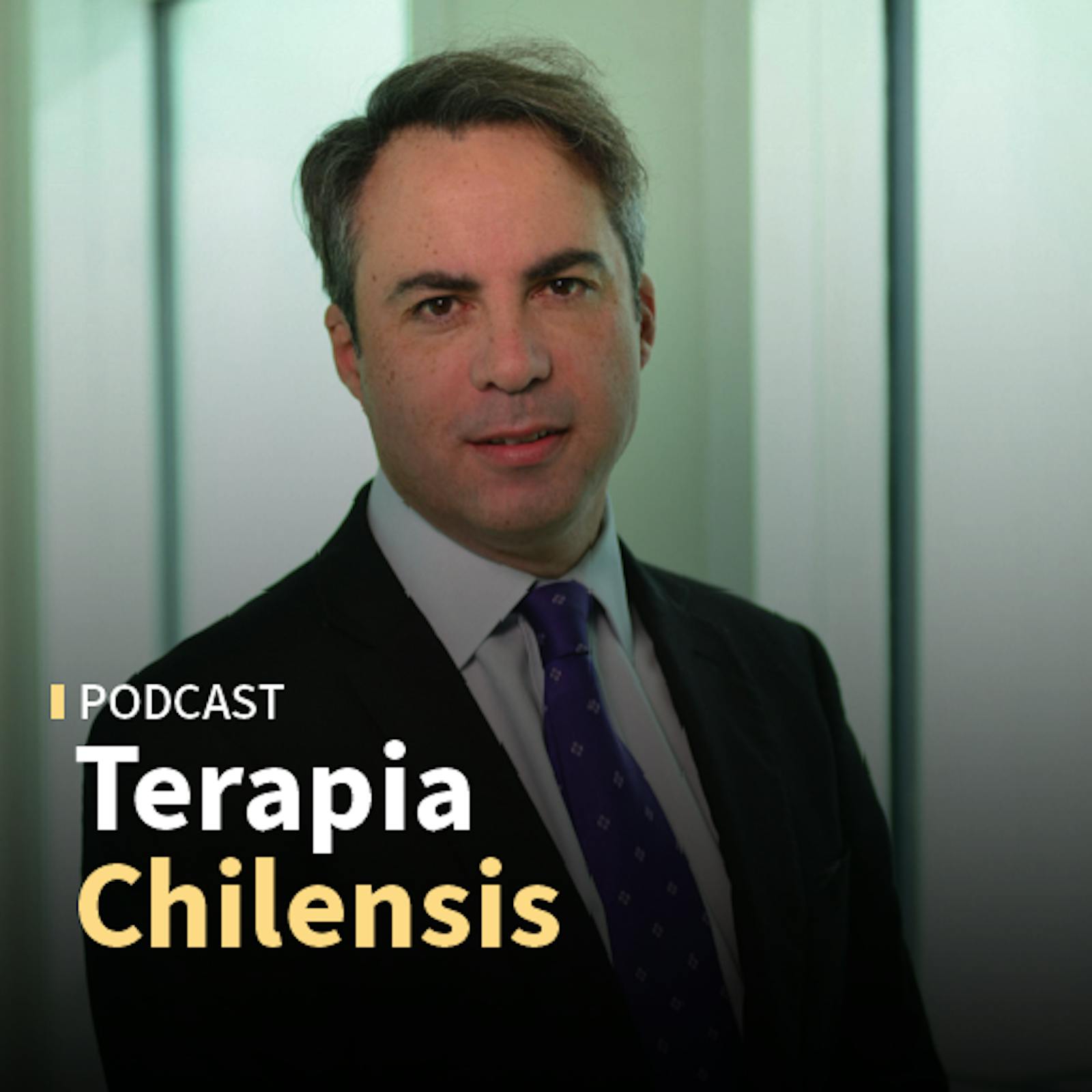 Rodrigo Delaveau: "El TC es un tribunal de derecho, se falla en derecho, pero los efectos de las sentencias son políticos"