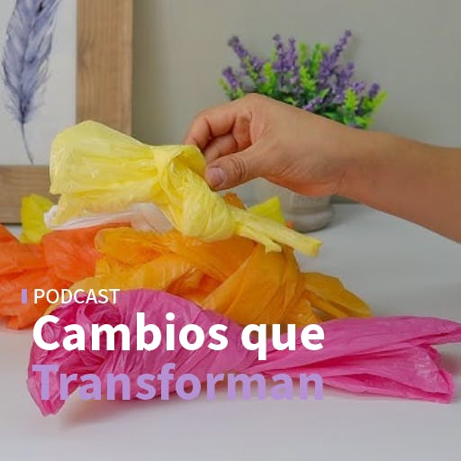 El Día Internacional sin Bolsas Plásticas y el talento joven