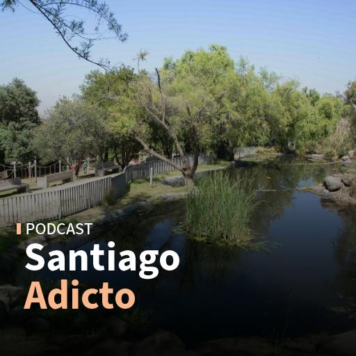  Bosque Santiago, el bandejón central de Recoleta y el Parque Botánico de Ñuñoa
