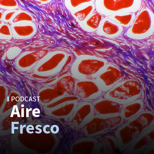  Las exposiciones en Patricia Ready y Artespacio y la fibrosis muscular