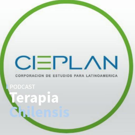 El cierre de Cieplan, el partido final del mundial y la aprobación del Gobierno