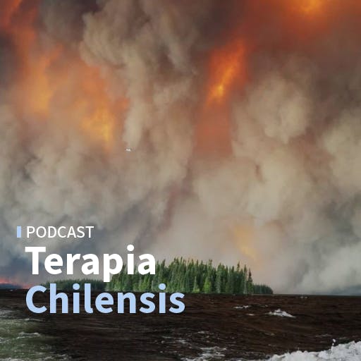 La situación de los incendios forestales, la guerra entre Rusia y Ucrania y la actualidad de la Franja de Gaza