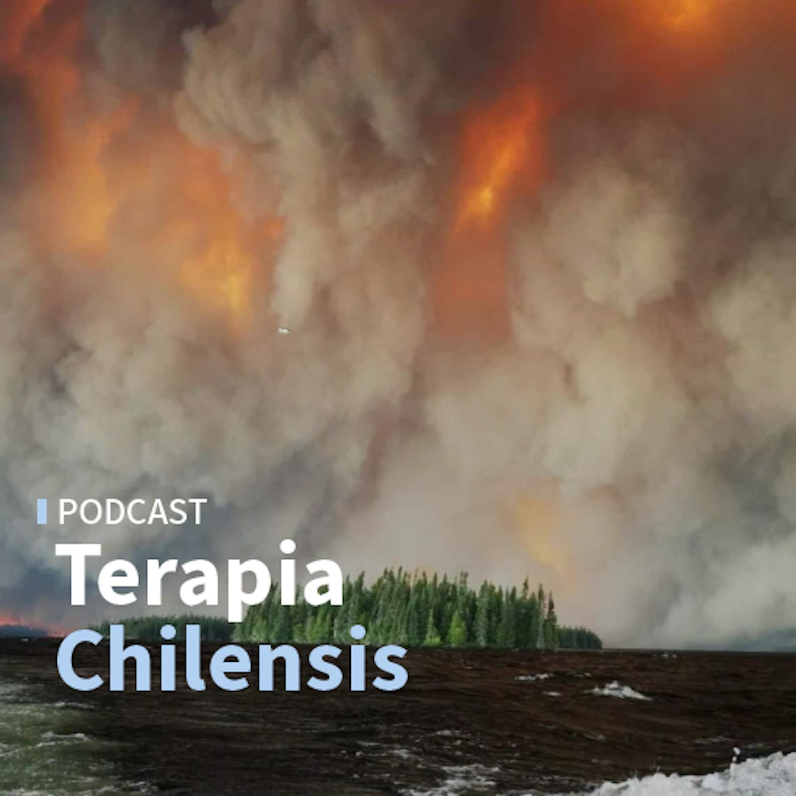 La situación de los incendios forestales, la guerra entre Rusia y Ucrania y la actualidad de la Franja de Gaza