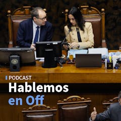 La presidenta del Senado y la comisión mixta por la megarreforma