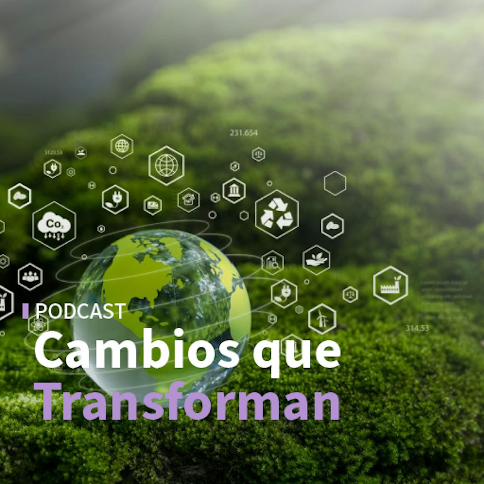 Cómo se gestiona la sostenibilidad con múltiples formatos y cómo UNACEM está transformando la industria de la construcción  episode artwork