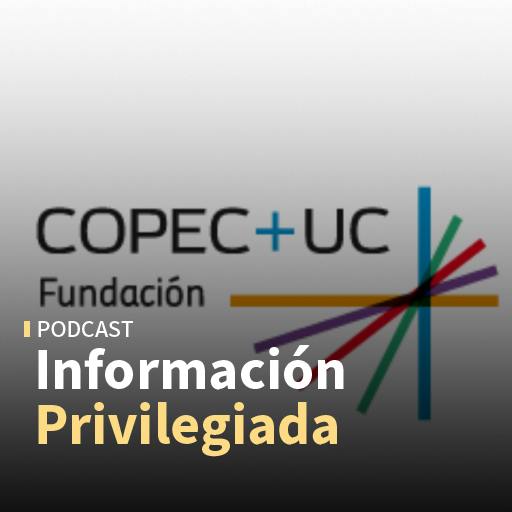 Mega reforma, Chile y la Fundación Copec-UC