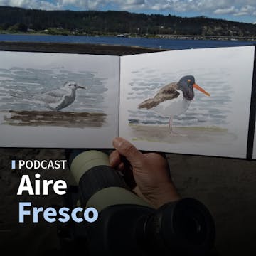 Daniel Martínez y Marcos Alvo: explorando a las aves y la literatura