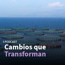 Innovación en la salmonicultura y en tasaciones inmobiliarias