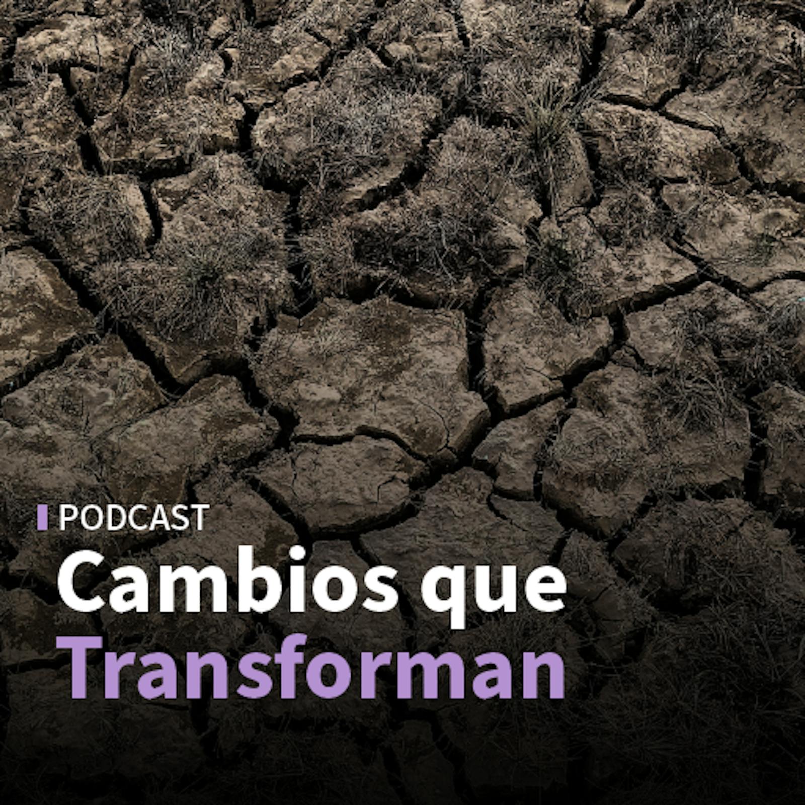 Cómo enfrentar la sequía y de qué manera preparar los materiales frente al cambio climático episode artwork